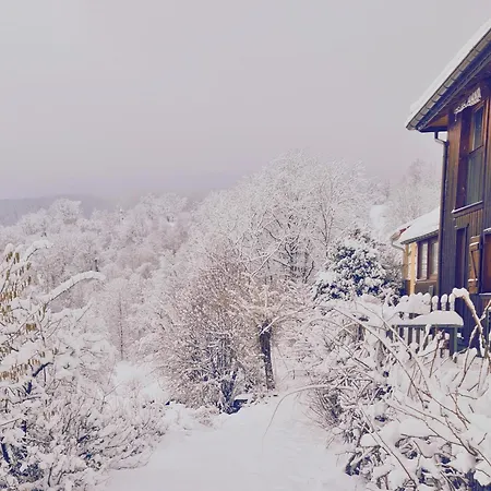 Nyaraló - Retour Aux Sources