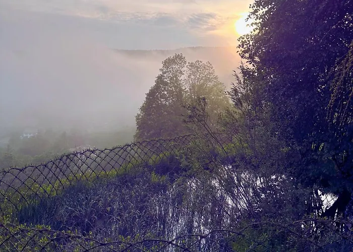 - Retour Aux Sources Le Ménil