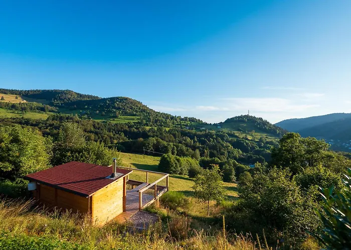 - Retour Aux Sources *